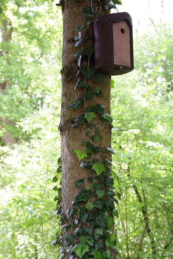 Campingplatz Aichelberg Aichelberg  Zewnętrze zdjęcie